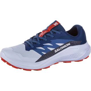 Salomon Alphaglide Trailrunningsko Herrer størrelse 8 farve blå