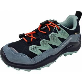Lowa Kid's Maddox Pro GTX LO Multisportsko Børn størrelse 30 farve kulørt