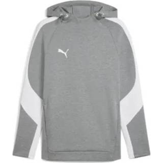 Puma teamEVOSTRIPE Hoody, XL, Grå
