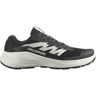 Salomon alphaglide sko herre