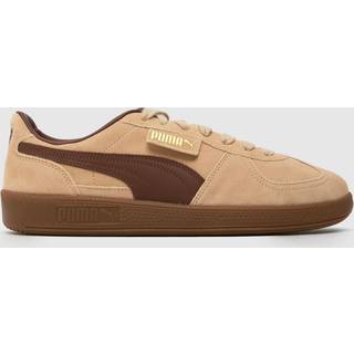 PUMA Palermo Women's, Brown - 40.5
