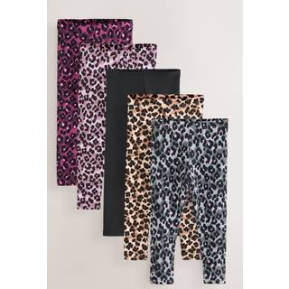 Next Animal Leggings 5 Pack (3-16yrs)