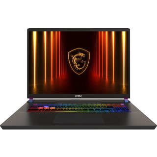 MSI Vector 17 HX AI 17'' QHD+