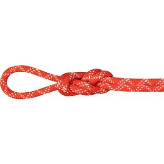 Mammut 9.5 Gym Classic Rope Helreb størrelse 40 m farve rød