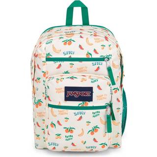 Jansport bærbar rygsæk - computerpose med 2 rum ergonomiske skulderstropper 15 bærbare ærme trækhåndtag - fem om dagen fløde