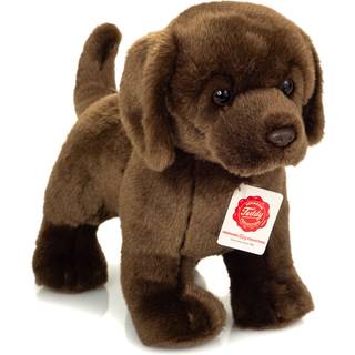 Labrador bamse brun står bamsehund ligner ægte labrador