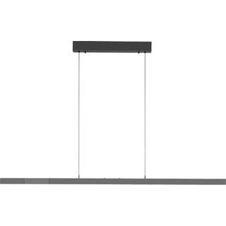 PAUL NEUHAUS ADRIANA COMFORT LIFT ANTRACIT UDTRÆK LANGBORDSPENDEL