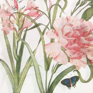 Farvede papirservietter 20 grev lurvede chic servietter til bryllupsmiddag teselskab brusebad cocktail servietter (tuberose)