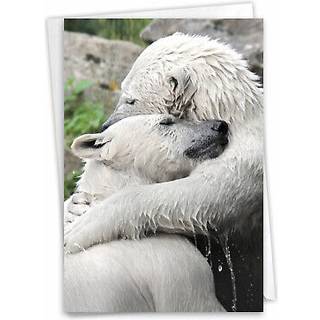 The Best Card Company Venskabspapirkort med 5 x 7 tommer konvolut (1 kort) Opmuntring Held og lykke Bjrnekram C6327BFRG