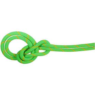 Mammut 9.5 Crag Eco Dry Rope Helreb størrelse 40 m farve grøn