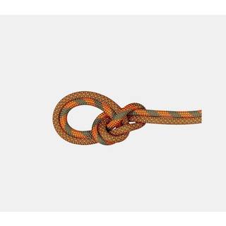 Mammut 9.5 Crag Dry Rope Duodess Helreb størrelse 80 m farve brun