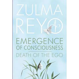 Emergence Of Consciousness