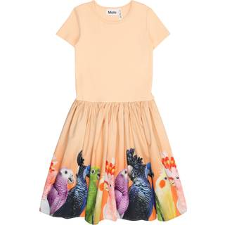 Molo Cissa Short-Sleeved Dress Rainbow Parrots 110/116 cm  Orange.  110/116 cm  kvinde