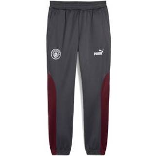 Men&#39;s Puma Manchester City ftbl NRGY+ Pants, Red, Size S, Sport - Stormy Slate - S