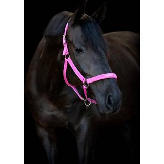 HorseGuard Malva Følgrime - Phlox Pink - PONY FØL