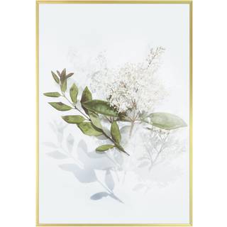 Golden State Art - 13x19 Aluminium Picture Frame 13 x 19 tommer metalplakatrammer tynde akryl front v?gkrog inkluderet til v?gvisning (1 pakke -