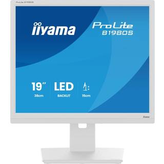 19" iiyama ProLite B1980S-W1 - LED monitor - 19"