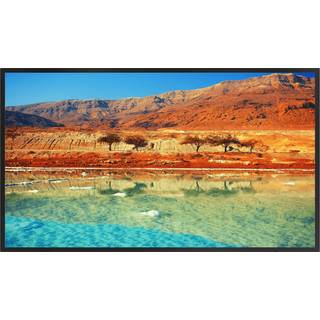 Dahua 65 Zoll Monitor. Display mit 3840x2160px Pixel Auflösung, 8ms Reaktionszeit - schwarz