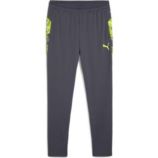 PUMA IndividualCUP Football Pants Men, Sport, Galactic Gray, XXL - Galactic Gray - XXL