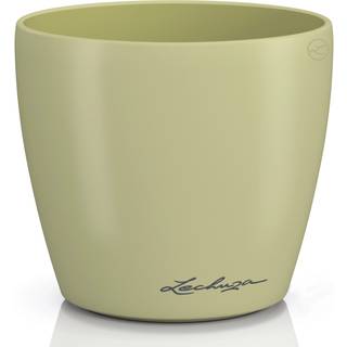 Classico Color Deco - Lind 10 cm