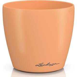 Classico Color Deco - Papaya 10 cm