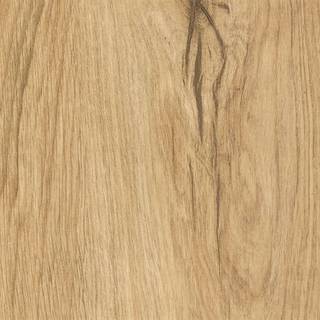 HARO Disano Classic Aqua - Eg Phoenix