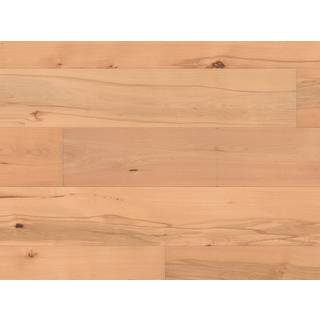 HARO Plankegulv - Dampet Bøg Universal med naturaDur matlak - Bredde 180 mm