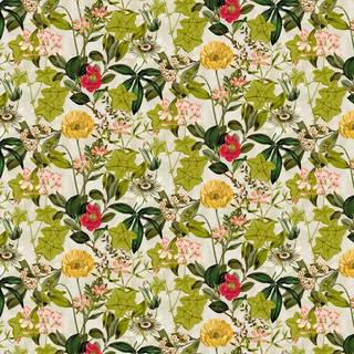Clarke & Clarke Wallpaper Exotica Passiflora W0127/02