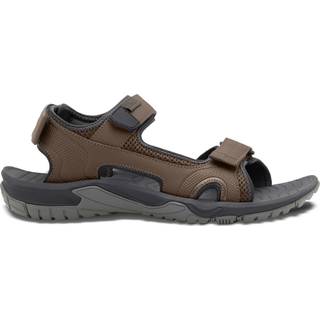 Jack Wolfskin Men's Lakewood Cruise Sandal Cold Coffee, 44.5