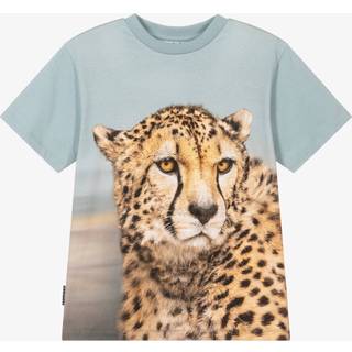 Molo Rubin Short-Sleeved T-Shirt Big Cheetah Blue 92 cm  Blå  92 cm  mand