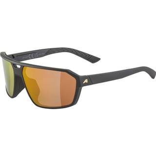 Sunglasses Alpina Swift Black Gold Matt/Gold Mirror