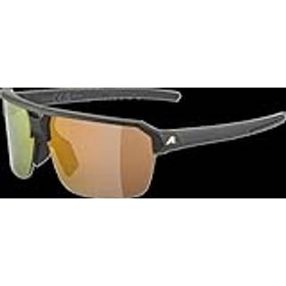 Sunglasses Alpina Swift HR Black Gold Matt/Gold Mirror