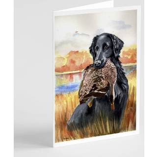 Flad coated retriever lykønskningskort og konvolutter pakning af 8