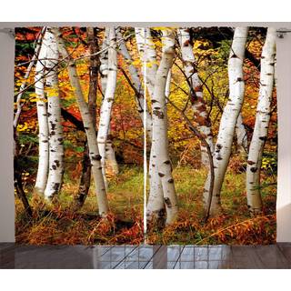 Ambesonne Fall gardiner Hvide Birch Trees Autumn Leaves Growth Wilderness Ecology Calm Serene View Print Stue Soveværelse Vindue Gør