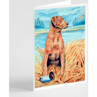 Chesapeake Bay Retriever lykønskningskort og konvolutter pakning af 8