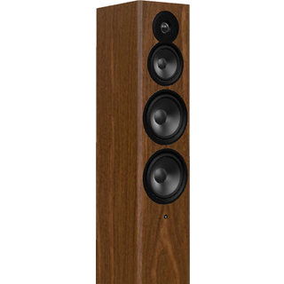 Dynaudio Focus 50 - Blonde Wood