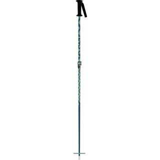 K2 Sports Kid's Sprout Ski Poles Blue, one size