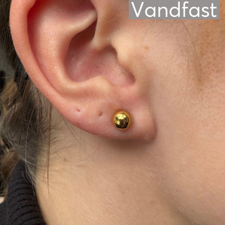 ANNEBRAUNER Ball Studs Øreringe 18K Guldbelagt - 6 mm