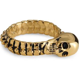 Aspero | Guldfarvet Rustfri Stål Kranium og Rygsøjle Ring