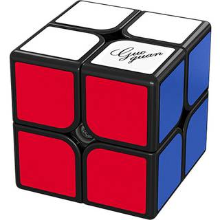 GuoGuan Xinghen 2x2 TSM Black (Size Adjustable) - Professorterning