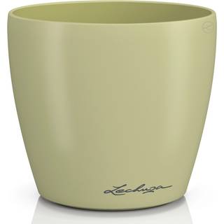 Classico Color Deco - Lind 12 cm