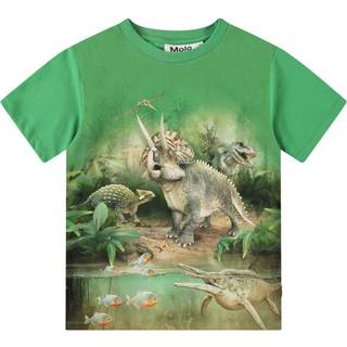 Molo Riley Short Sleeve T-Shirt Jungle Dinos 116 cm  Grøn  116 cm  mand