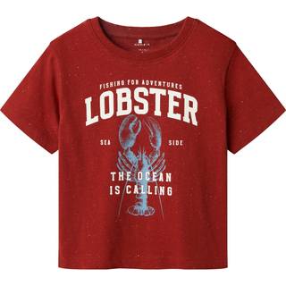 NAME IT T-shirt Fabi Red Ochre