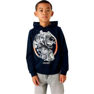 Dragon Ball Sweatshirt