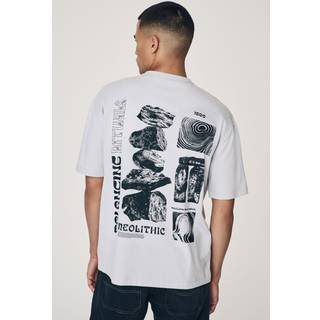 Next Light Grey Relaxed Fit Graphic Print T-Shirt