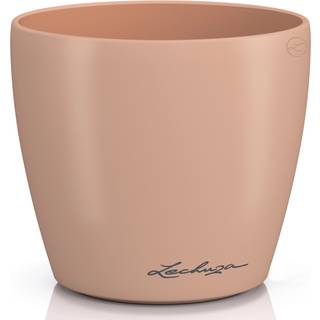 Classico Color Deco - Magnolia 10 cm