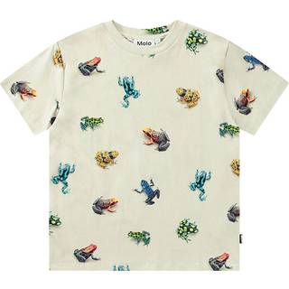 Molo Roxo Short Sleeve T-Shirt Vibrant Frogs 128 cm  Beige  128 cm  mand