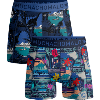 Jongens 2-pack Boxershorts Urbex Jungle