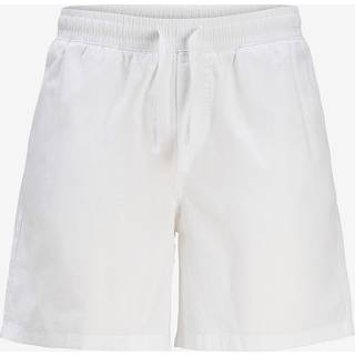 Regular Fit Shorts