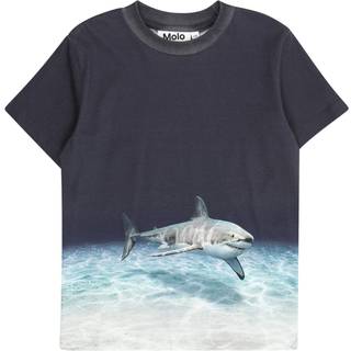 Molo Roxo T-shirt Faded Shark 104cm  Marineblå  104 cm  mand
